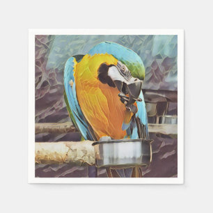 CUTE MACAW SERVET