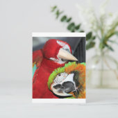 Cute macaws briefkaart (Staand voorkant)