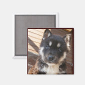 Cute Magnet de visage de chiot (Recto/Verso)