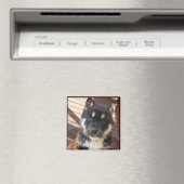 Cute Magnet de visage de chiot (In Situ (Lave-vaisselle))