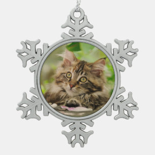Cute Maine Coon Cat Kitten Foto - Rammendecor Tin Sneeuwvlok Ornament