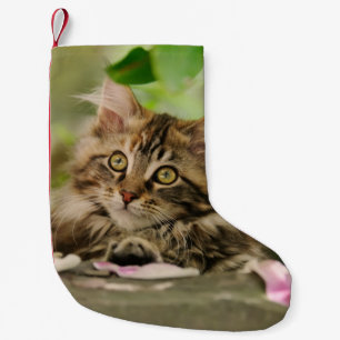 Cute Maine Coon Cat Kitten Santa mantle Kleine Kerstsok