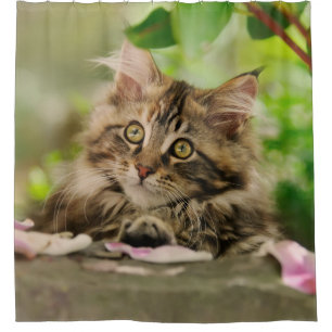 Cute Maine Coon cat kitten Showgordijn Douchegordijn
