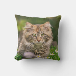 Cute Maine Coon Kitten Cat Flowers - voor buiten Buitenkussen