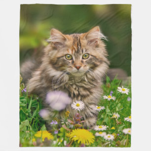 Cute Maine Coon Kitten Cat in Flower Meadow - Fleece Deken