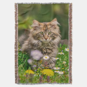 Cute Maine Coon Kitten Cat Sitting in Flowers Deken