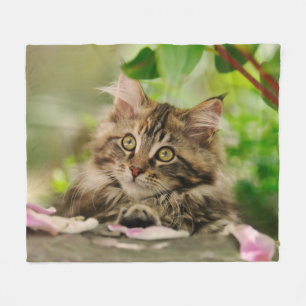 Cute Maine Coon Kitten cozy Fleece Deken