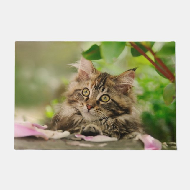 Cute Maine Coon kitten Deurmat (Voorkant)