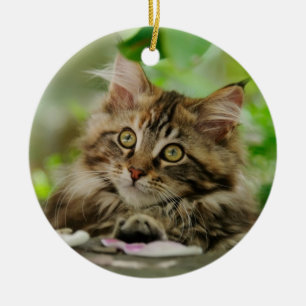 Cute Maine Coon kitten Keramisch Ornament