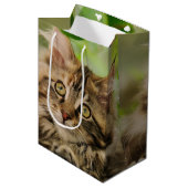 Cute Maine Coon kitten Medium Cadeauzakje (Voorkant Gekanteld)