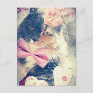 Cute Maine Coon Kitten Retro Style Briefkaart