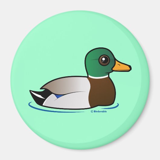 Cute Mallard Male Magneet (Voorkant)