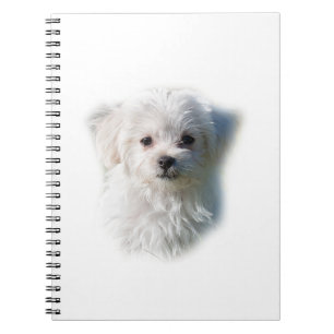 Cute Maltese Dog Notitieboek