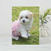 Cute Maltese poodle Invitation Card Kaart (Staand voorkant)