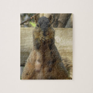 Cute Mama Squirrel eet Nuts Legpuzzel