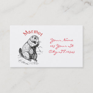 Cute Marmot Animal Thunder_Cove Visitekaartje