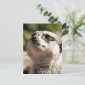 CUTE MEERKAT BRIEFKAART (Staand voorkant)