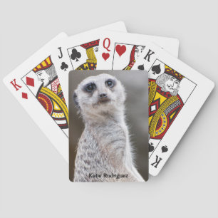 Cute Meerkat die naar jou kijkt Pokerkaarten
