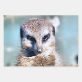 CUTE MEERKAT INPAKPAPIER VEL (Voorkant 2)