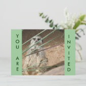 Cute Meerkat Invitation (Debout devant)