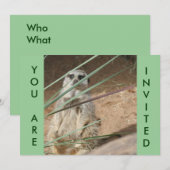 Cute Meerkat Invitation (Devant / Derrière)