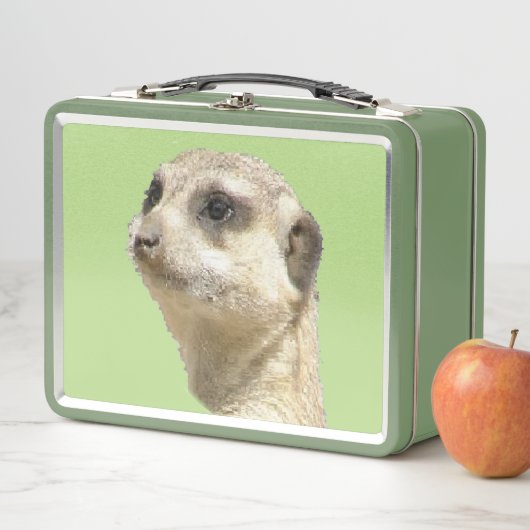 Cute Meerkat Lunchbox (In situ)