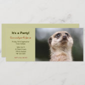 Cute Meerkat Party Invitation Kaart (Voorkant / Achterkant)