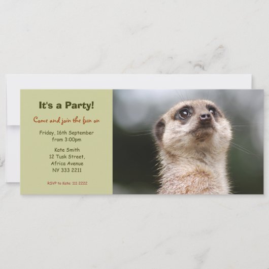 Cute Meerkat Party Invitation Kaart (Voorkant)