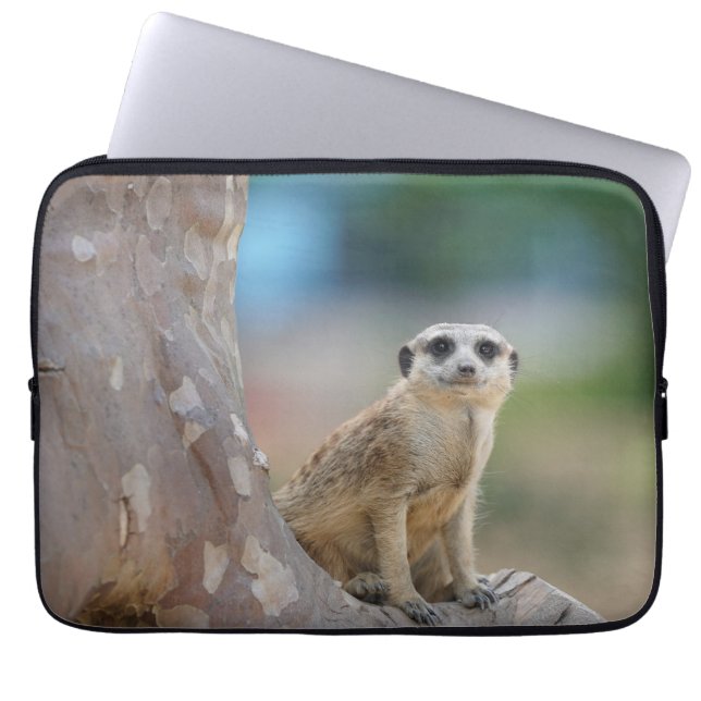 Cute Meerkat Sat on Tree Laptop Sleeve (Voorkant)