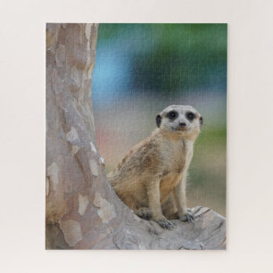 Cute Meerkat Sat on Tree Legpuzzel
