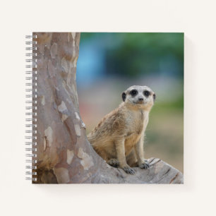 Cute Meerkat Sat on Tree Notitieboek