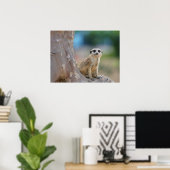 Cute Meerkat Sat on Tree Poster (Thuiskantoor)