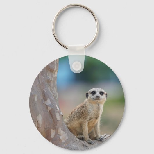 Cute Meerkat Sat on Tree Sleutelhanger (Voorkant)