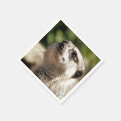 CUTE MEERKAT SERVET (Hoek)