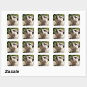CUTE MEERKAT VIERKANTE STICKER (Vel)