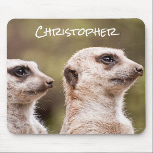 Cute Meerkats Foto gepersonaliseerd Muismat