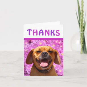 Cute Merci Puggle