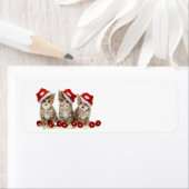Cute Merry kerst Kittens Etiket (Insitu)