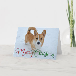 Cute Merry Kerstcorgi met Tail op sneeuwfoto Feestdagen Kaart