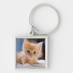 Cute met blauwe ogen sleutelhanger