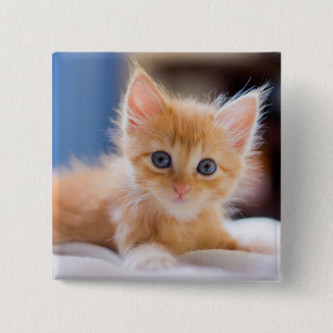 Cute met blauwe ogen vierkante button 5,1 cm
