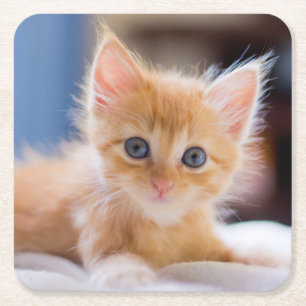 Cute met blauwe ogen vierkante kartonnen onderzetter