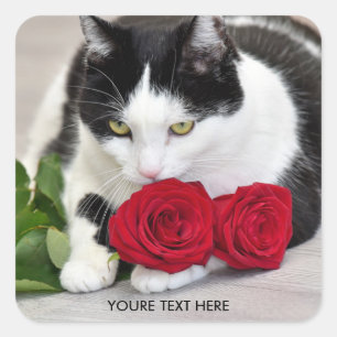 Cute met rode roos vierkante sticker