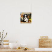 Cute Mini Aussie Shepherd Dog BiColor Puppy _ Poster (Keuken)