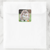 Cute Mini Holland Lop Bunny Rabbit Vierkante Sticker (Tas)