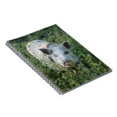 Cute Mini Juliana Pet Pig Notitieboek (Rechterzijde)