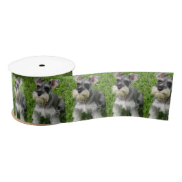 Cute Mini Schnauzer on Grass Spool of Ribbon Lint