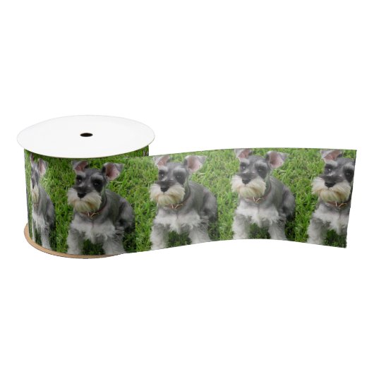 Cute Mini Schnauzer on Grass Spool of Ribbon Lint (Spoel)