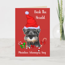 Cute Miniature Schnauzer Kerstmis