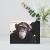 Cute monkey briefkaart (Staand voorkant)
